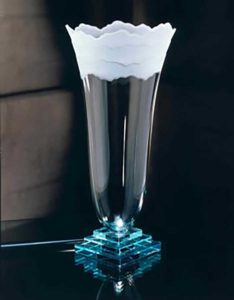 Clear Vase with Frost