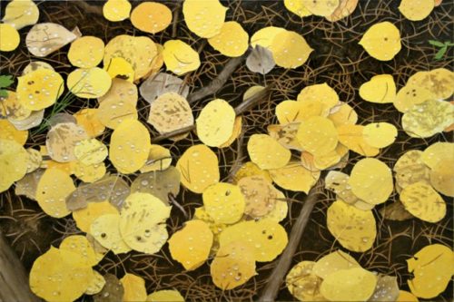 Nobody's Gold, giclee prince of yellow birch leaves