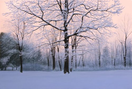 Winter Sunrise - Collector's Edition