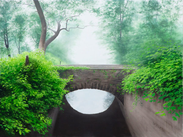 Enigma by Alexander Volkov; summer forest bridge