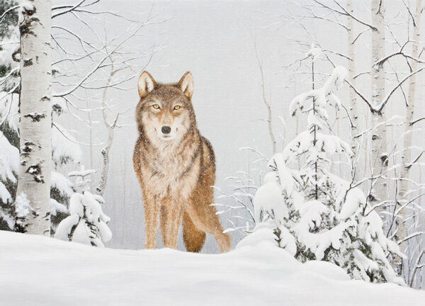 Wolf in a snowy forest