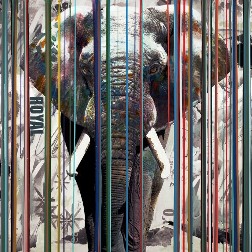 Hand embellished limited edition print on canvas of Earth's most gentle giant, the Elephant, set behind a curtain of colorful lines.