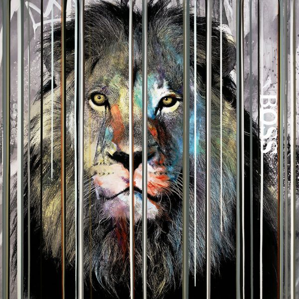 Hand embellished limited edition print on canvas of the king of the jungle, the majestic lion, set behind a curtain of colorful lines.